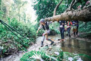 BIB: 
                            <button type="button" onclick="openModal(25464460)" class="btn btn-primary btn-sm float-right btn-popup" data-toggle="modal" data-target=".modal-high-quality">
                        <i class="fas fa-shopping-cart"></i> Add to Cart
                    </button>
                                            <button type="button" onclick="isThisMe(25464460, true)" class="btn btn-success btn-sm float-right btn-popup btn-isme hidden" data-toggle="tooltip" data-placement="bottom" title="นี่คือรูปของคุณใช่ไหม คลิกที่นี่เพื่อเอาเข้าอัลบั้ม">
                        <i class="fas fa-plus"></i> Add to album
                    </button>
                    <button type="button" onclick="isThisMe(25464460, false)" class="btn btn-warning btn-sm float-right btn-popup btn-isnotme hidden">
                        <i class="fas fa-ban"></i> Remove from album
                    </button>